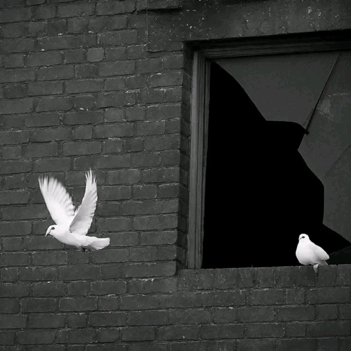 Don't trust anyone because people change anytime without any reason.

Happy Thursday 💗