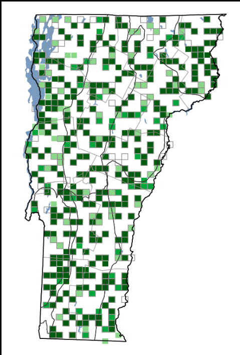 QuailHunterTV's tweet photo. Top Public-Land Locations for Ruffed Grouse Hunting in Vermont 
https://t.co/GUBEZYe5QA https://t.co/F6uDexgulA