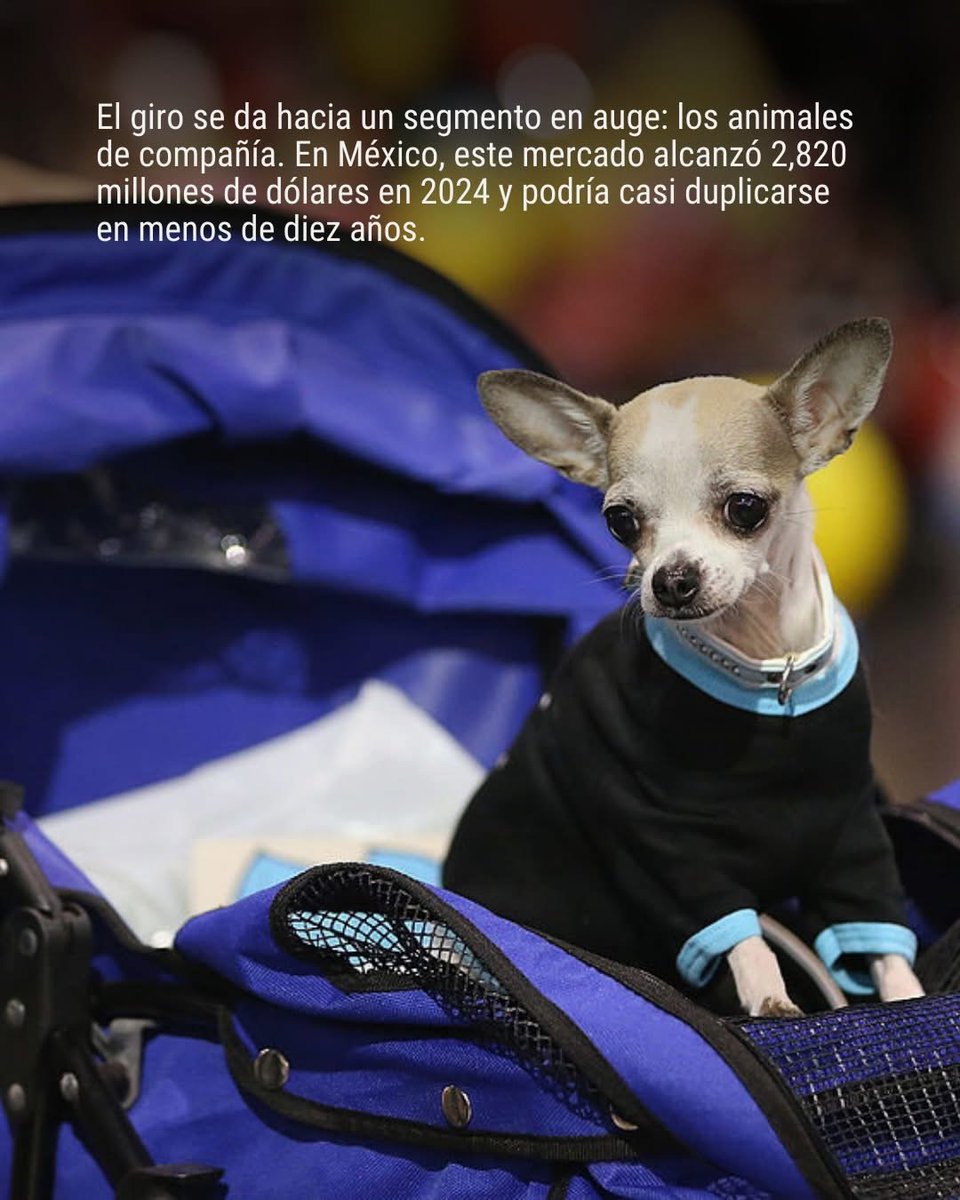 Gaceta MC 🇲🇽🗞 tweet media