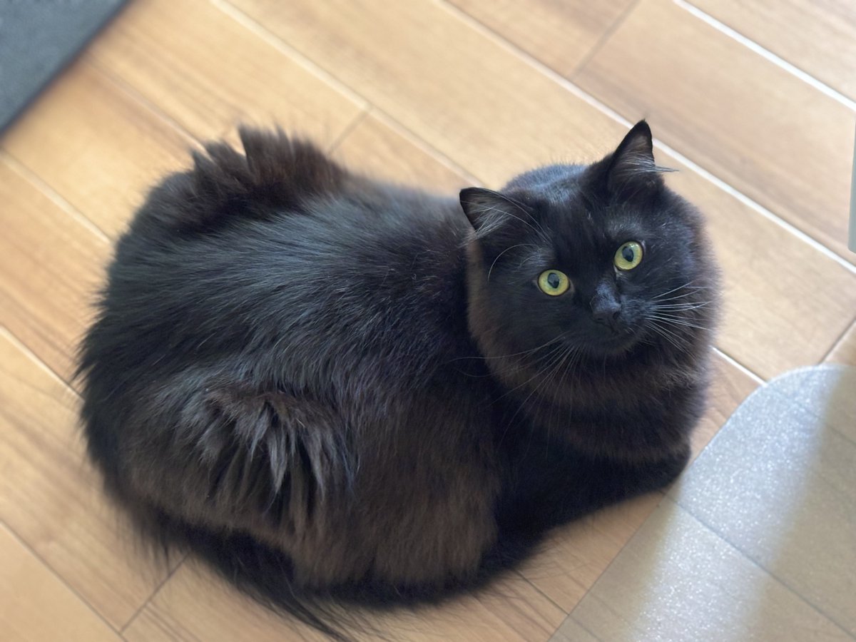 ﾓﾁｯ…