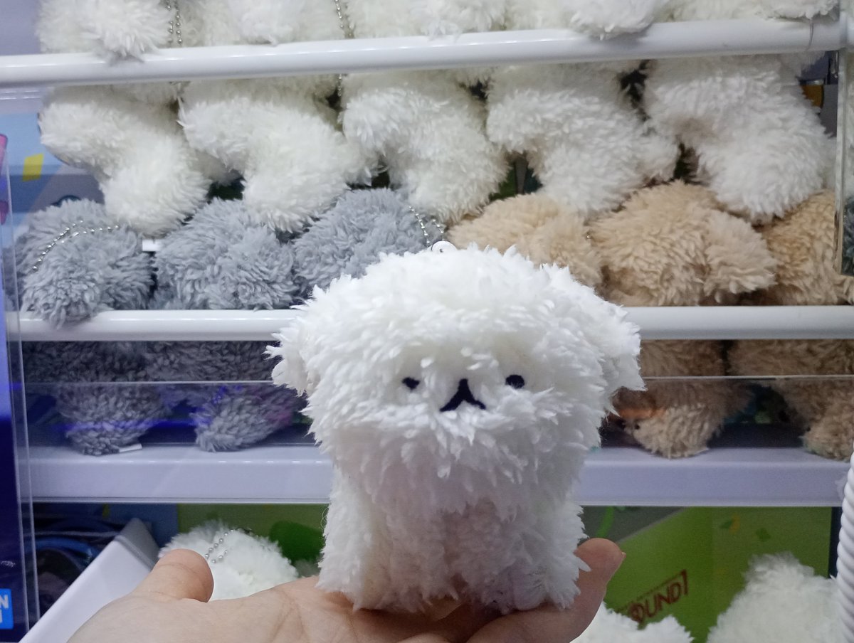 いぬちゃん San-X いしよわちゃん ぬいぐるみ 1181 サンエックス 犬