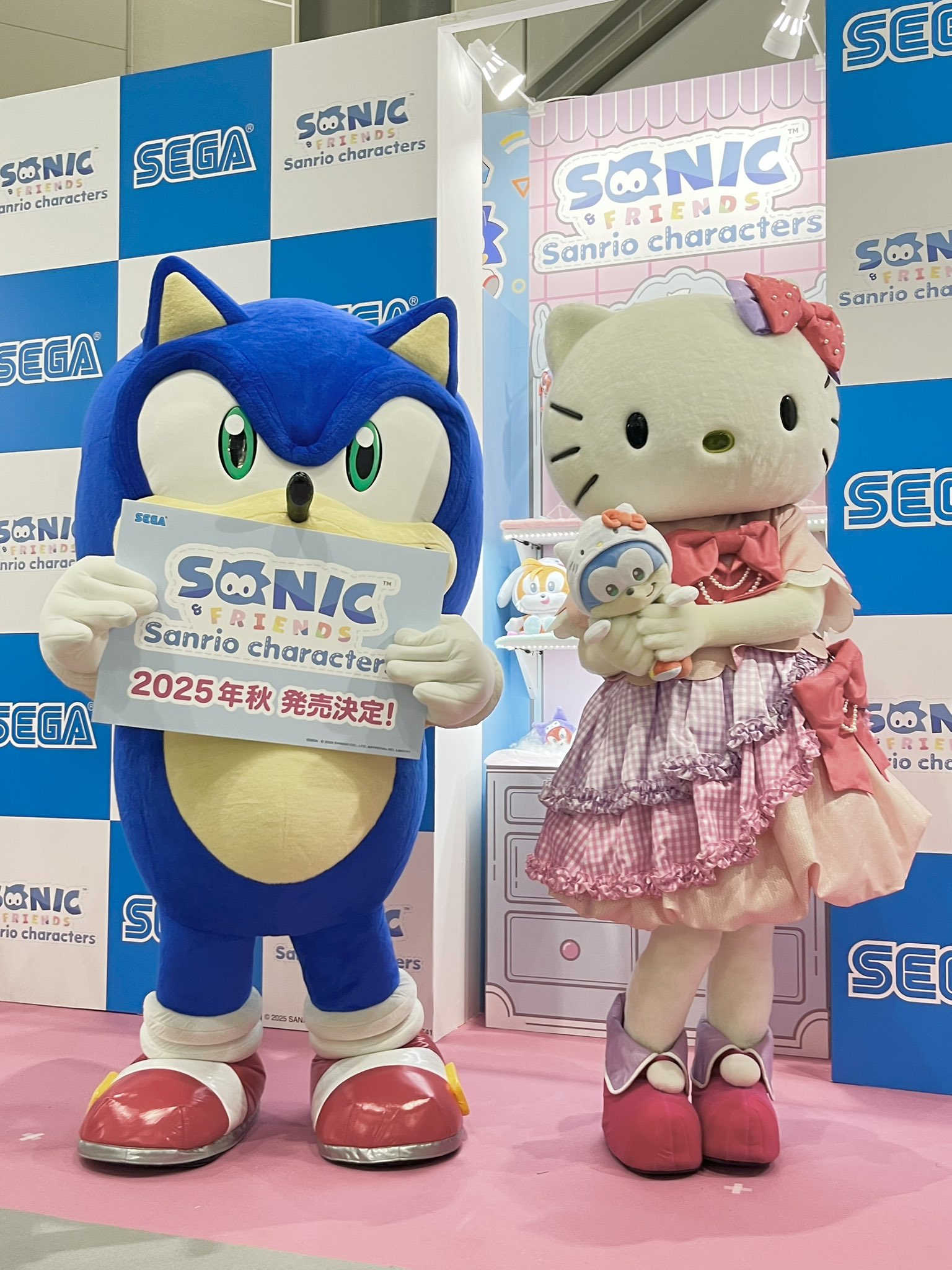 ハローキティ ロボット いつでもなかよし セガトイズ ハローキティ ロボット いつでもなかよし セガトイズ