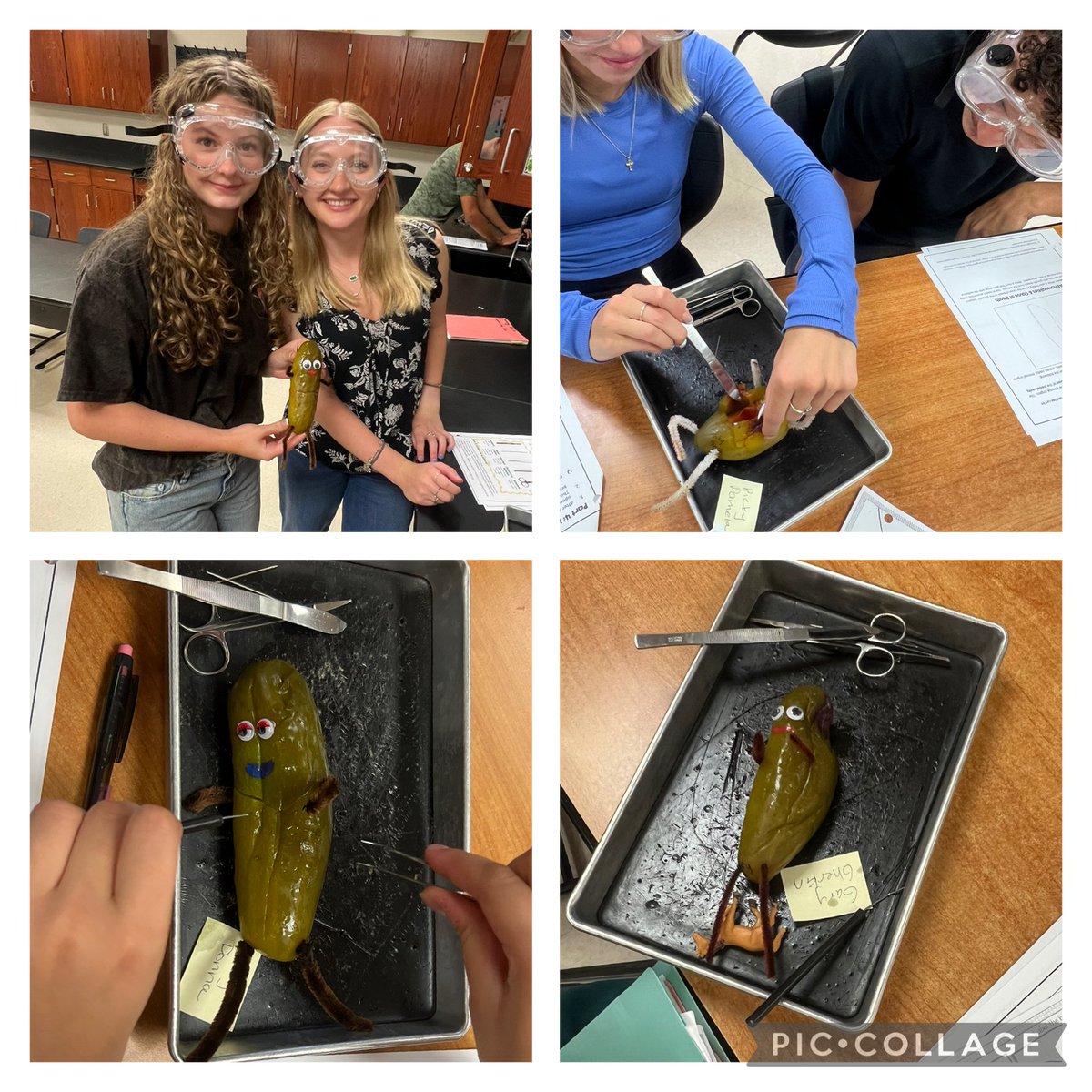 Kristen Adams tweet media