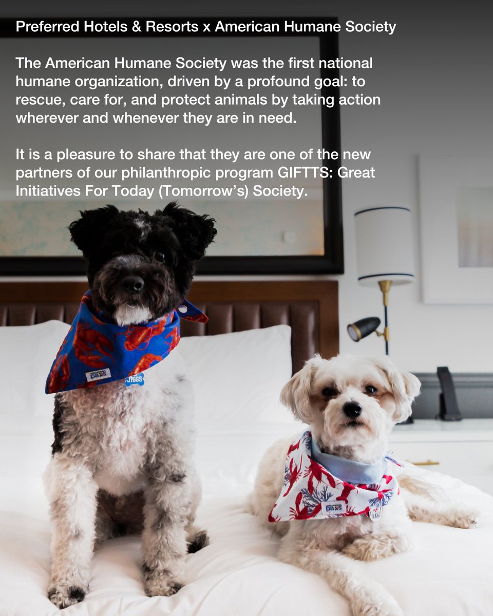 Pet-friendly is good.
Pet-friendly and purpose-driven? Even better. 💛

From fostering dogs to funding shelters, discover how some of our Preferred Pets handpicked hotels are going above and beyond.
#InternationalDogDay #ThePreferredPup #HotelWithHeart
