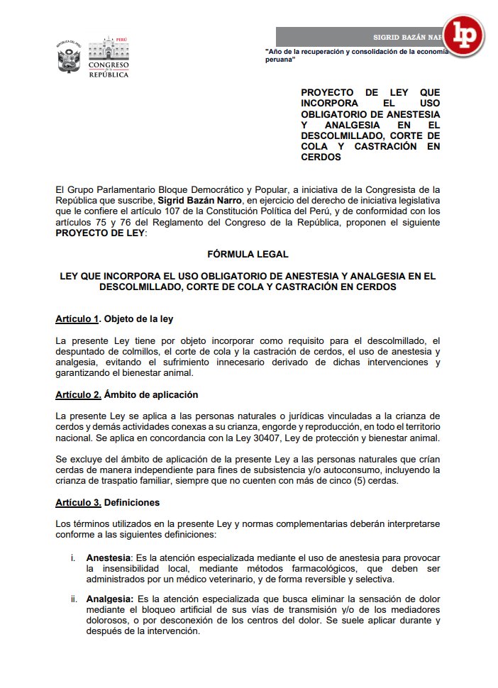 LPpasionderecho's tweet image. 🚨 Congresista #SigridBazán propone que la castración, corte de cola y descolmillado de cerdos solo se realicen con anestesia y analgesia. 

📝 La iniciativa busca evitar cirugías dolorosas y garantizar el bienestar animal.

✅ lpd.pe/N9WQ8