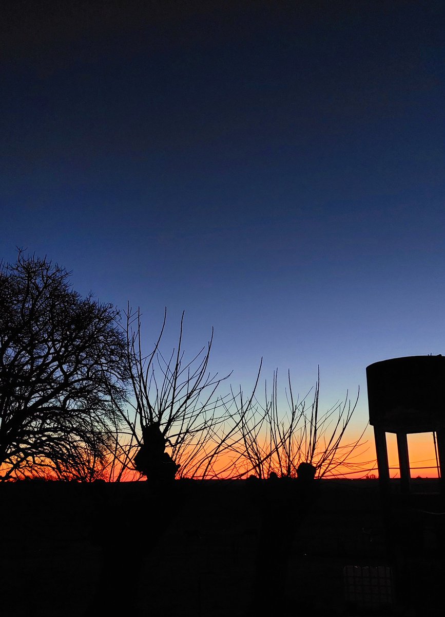 Un perfecto degradado entre el día y la noche.🧡💙

27/8/25
