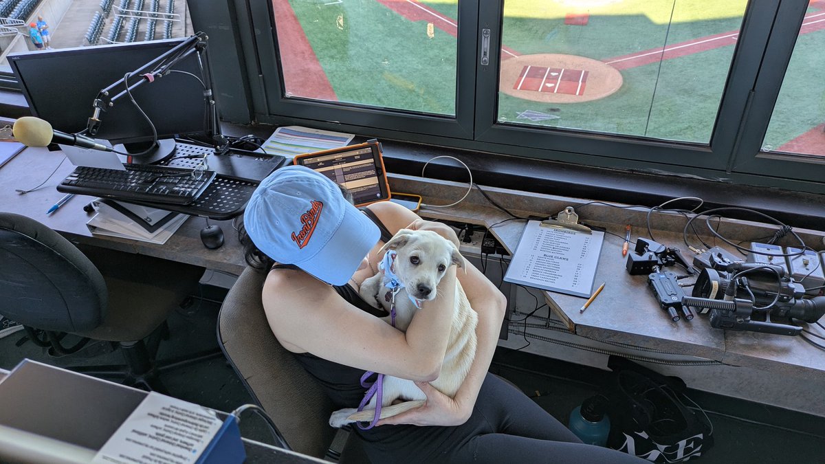 The booth has been compromised; we have puppies