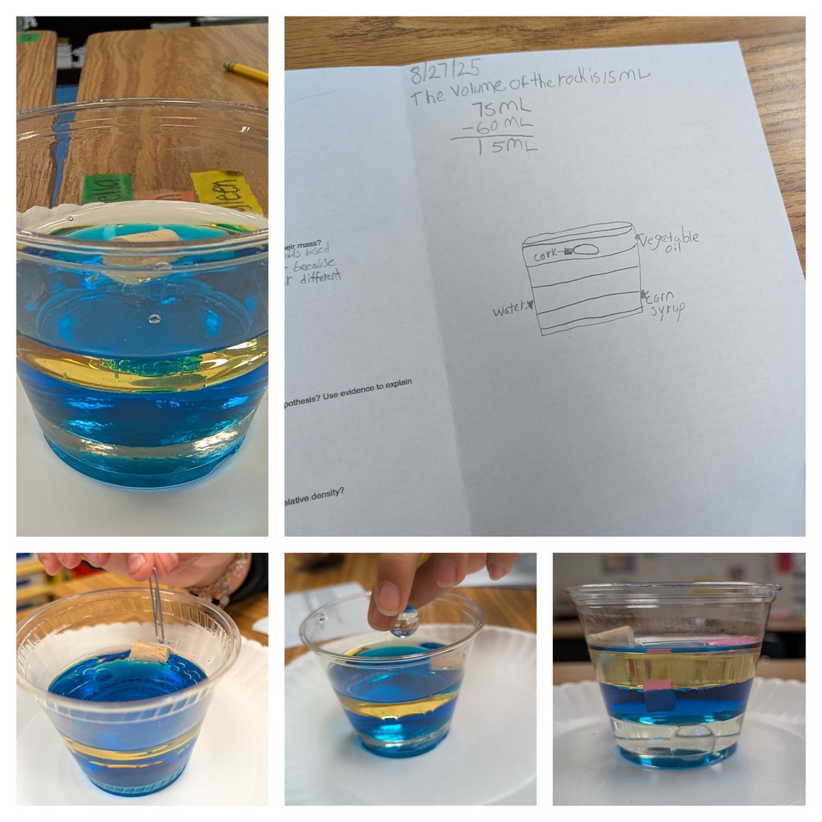 JGTaylor (@jgt2932) on Twitter photo <a href="/KujawaES_AISD/">Kujawa Elementary</a>, 5th graders compared and contrasted the relative density of liquids and solids through an investigation.
<a href="/AldineISD/">Aldine ISD</a> @Stars_902 #AldineImpact <a href="/KujawaES_AISD/">Kujawa Elementary</a>, 5th graders compared and contrasted the relative density of liquids and solids through an investigation.
<a href="/AldineISD/">Aldine ISD</a> @Stars_902 #AldineImpact