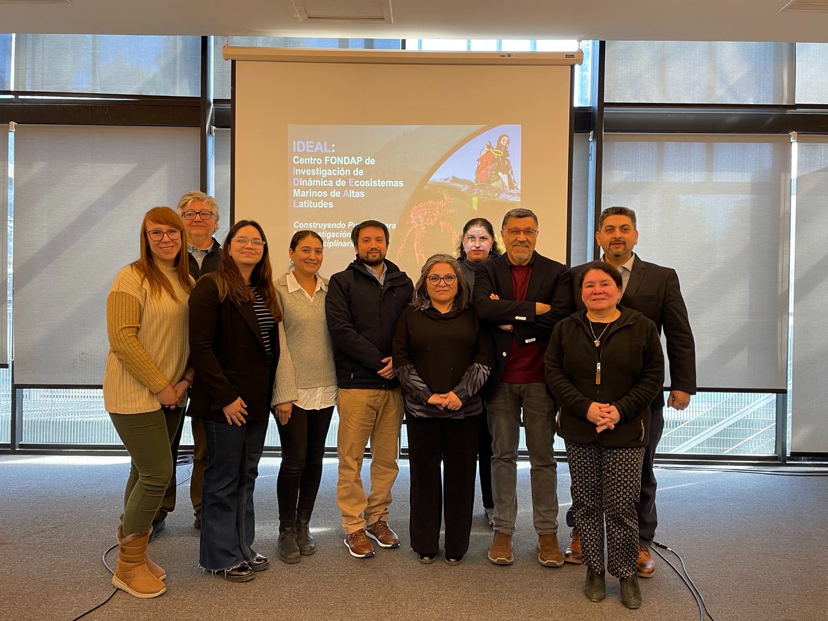 Centro IDEAL tweet media