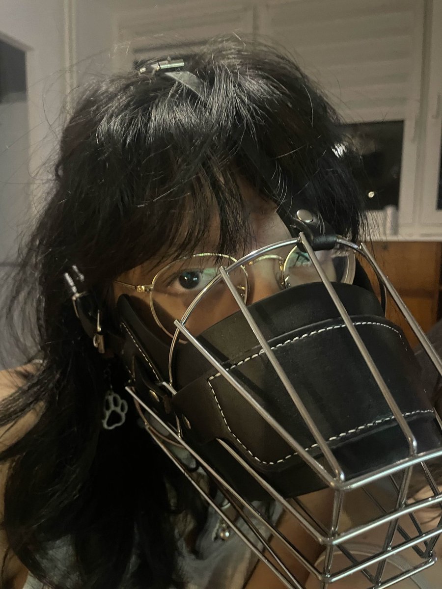 maeves 🚩🐕‍🦺 tweet media