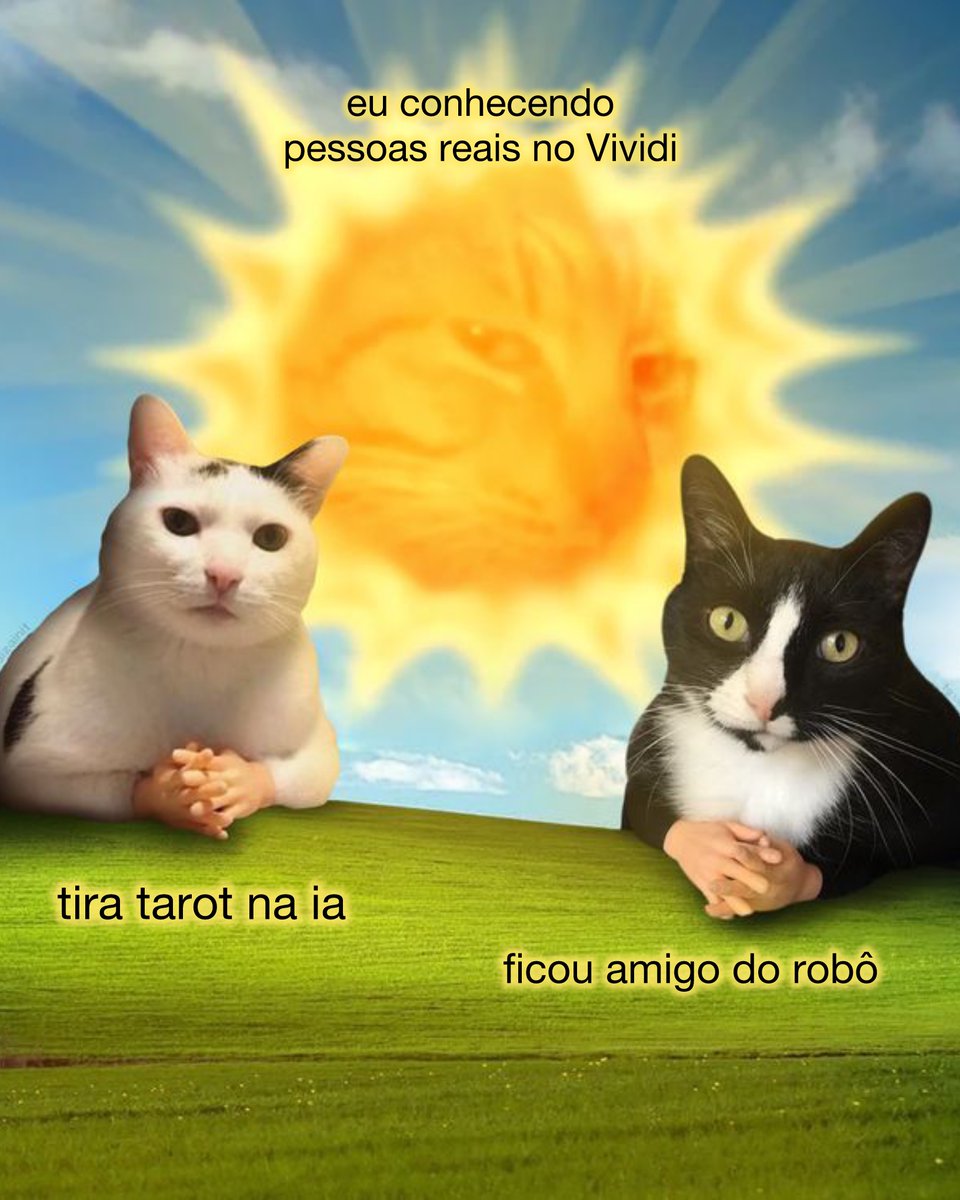Vividi Brasil tweet media