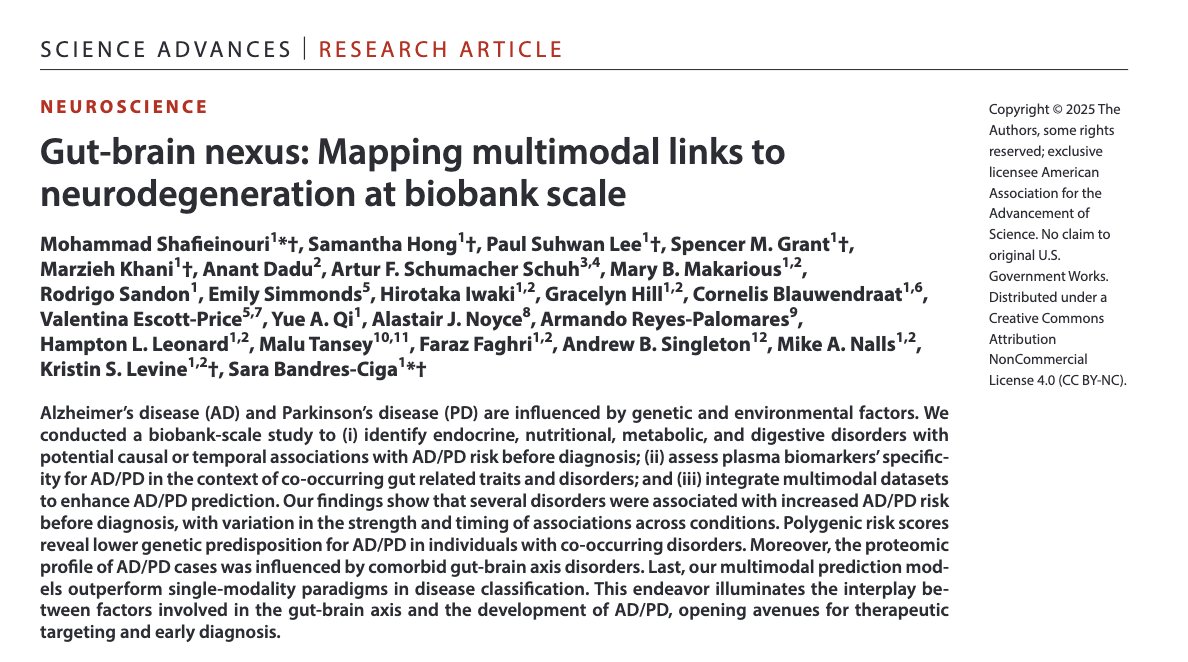 腸-脳のつながりと認知症リスク

糖尿病・腸疾患・ビタミン不足・電解質異常などが、アルツハイマー病やパーキンソン病発症の10〜15年前からリスク上昇と関連

特にリスク↑
・糖尿病
・機能性腸疾患・胃炎・食道炎
・ビタミンD・B群欠乏、電解質異常