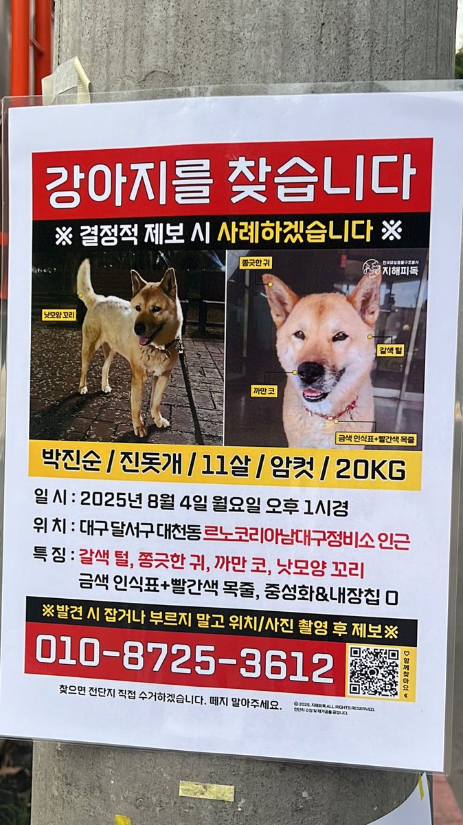 주인장 tweet media