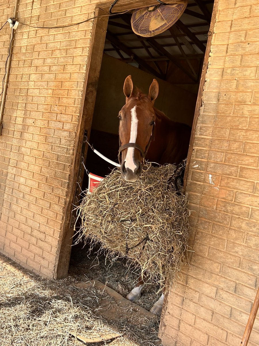 Paige West tweet media