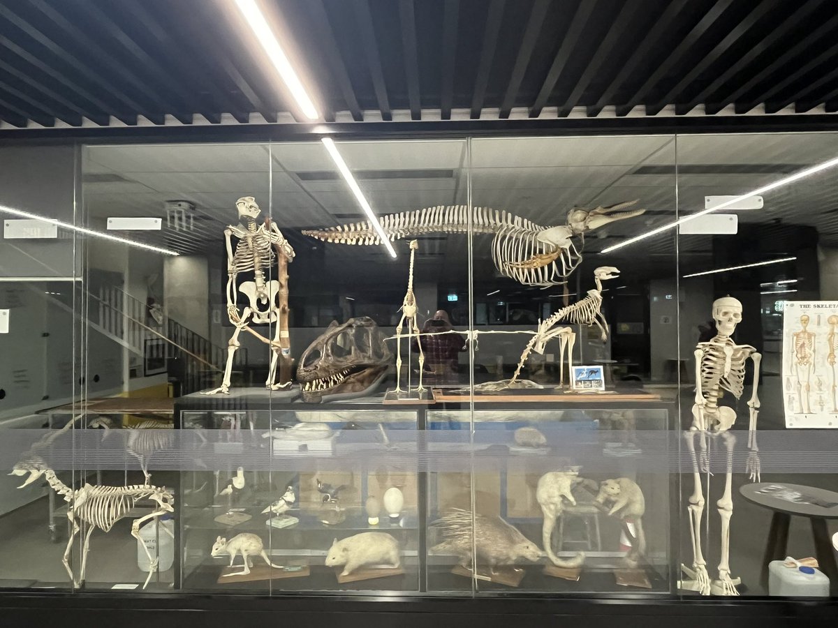 Jens Zinke tweet media