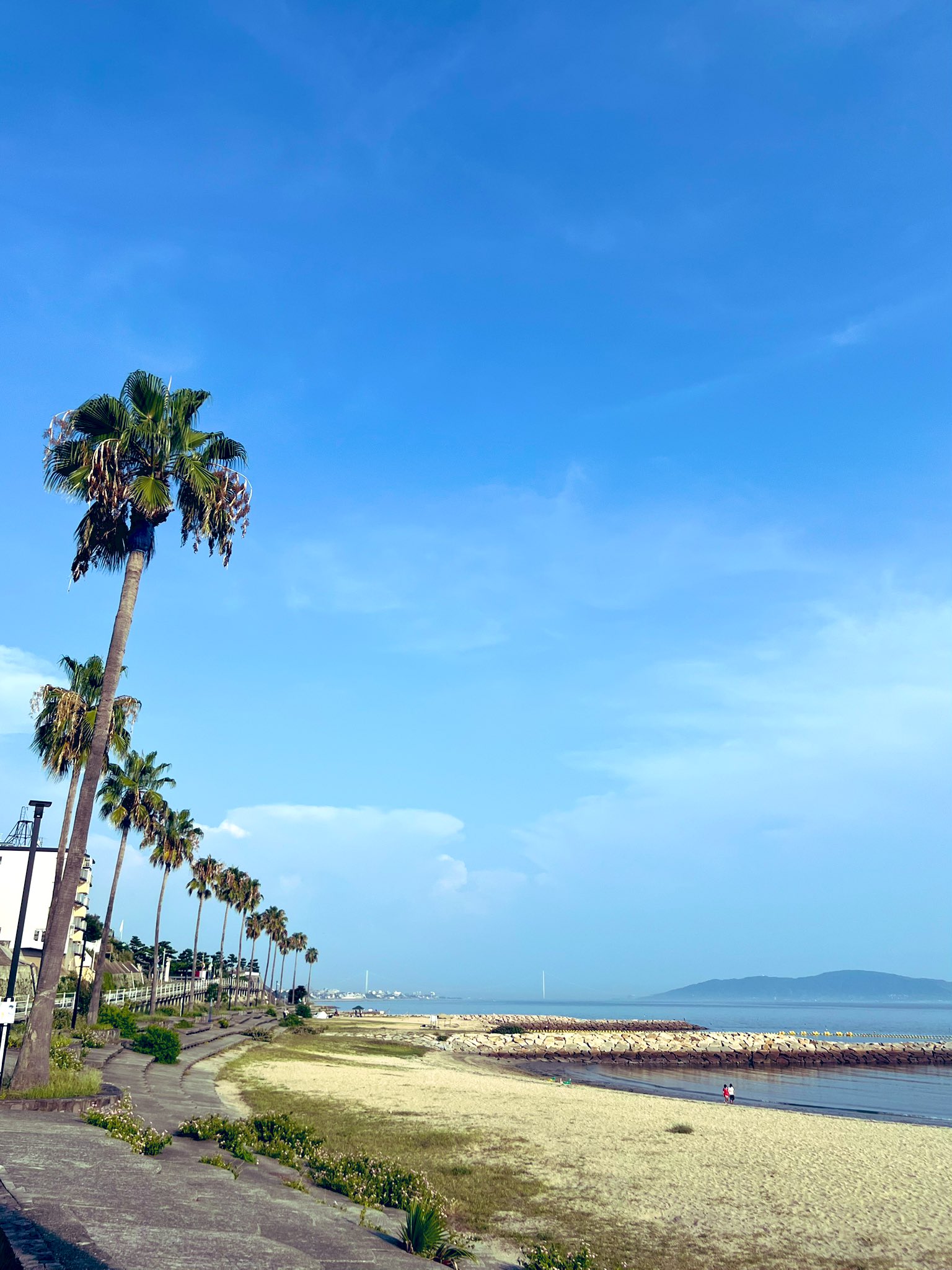☀️☀️☀️帰らざる日々('78日活)☀️☀️☀️ また遊ぼーNAVI🩷