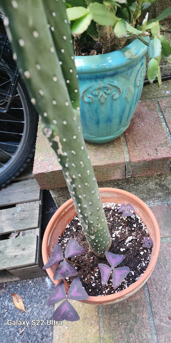 There's something happening here