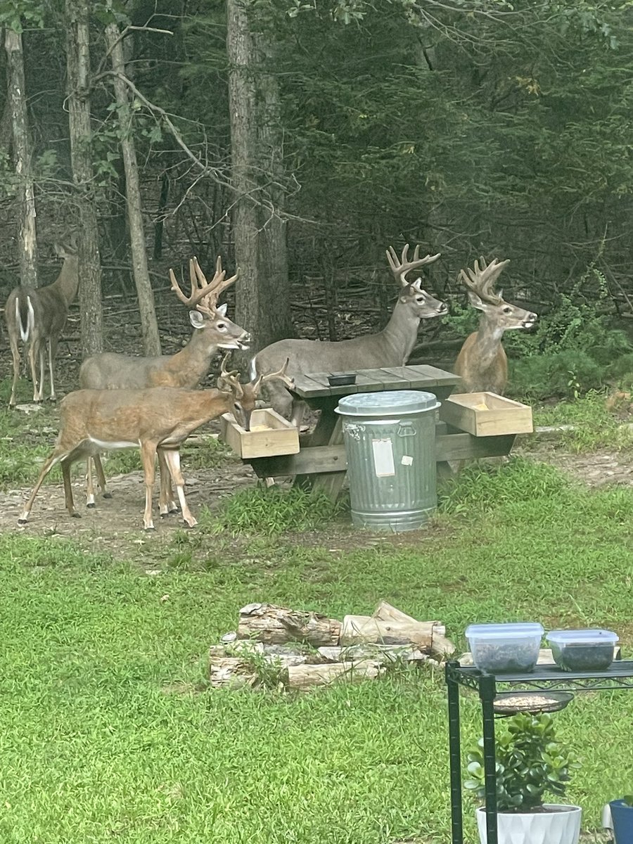D_Unit64's tweet image. I love my neighbors….