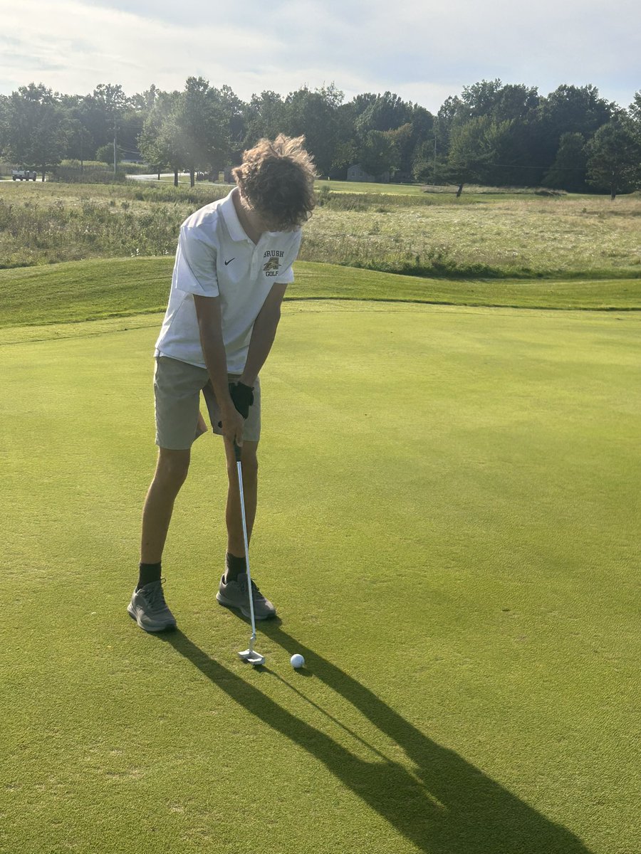 Brush Golf tweet media