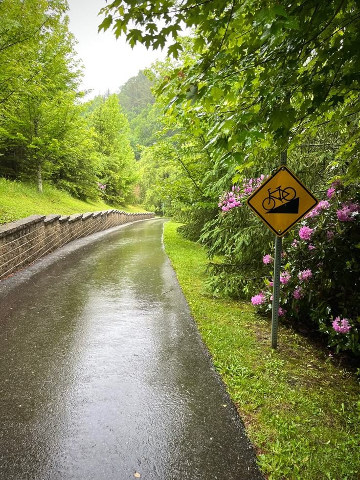 talya9646171863's tweet image. Rain therapy