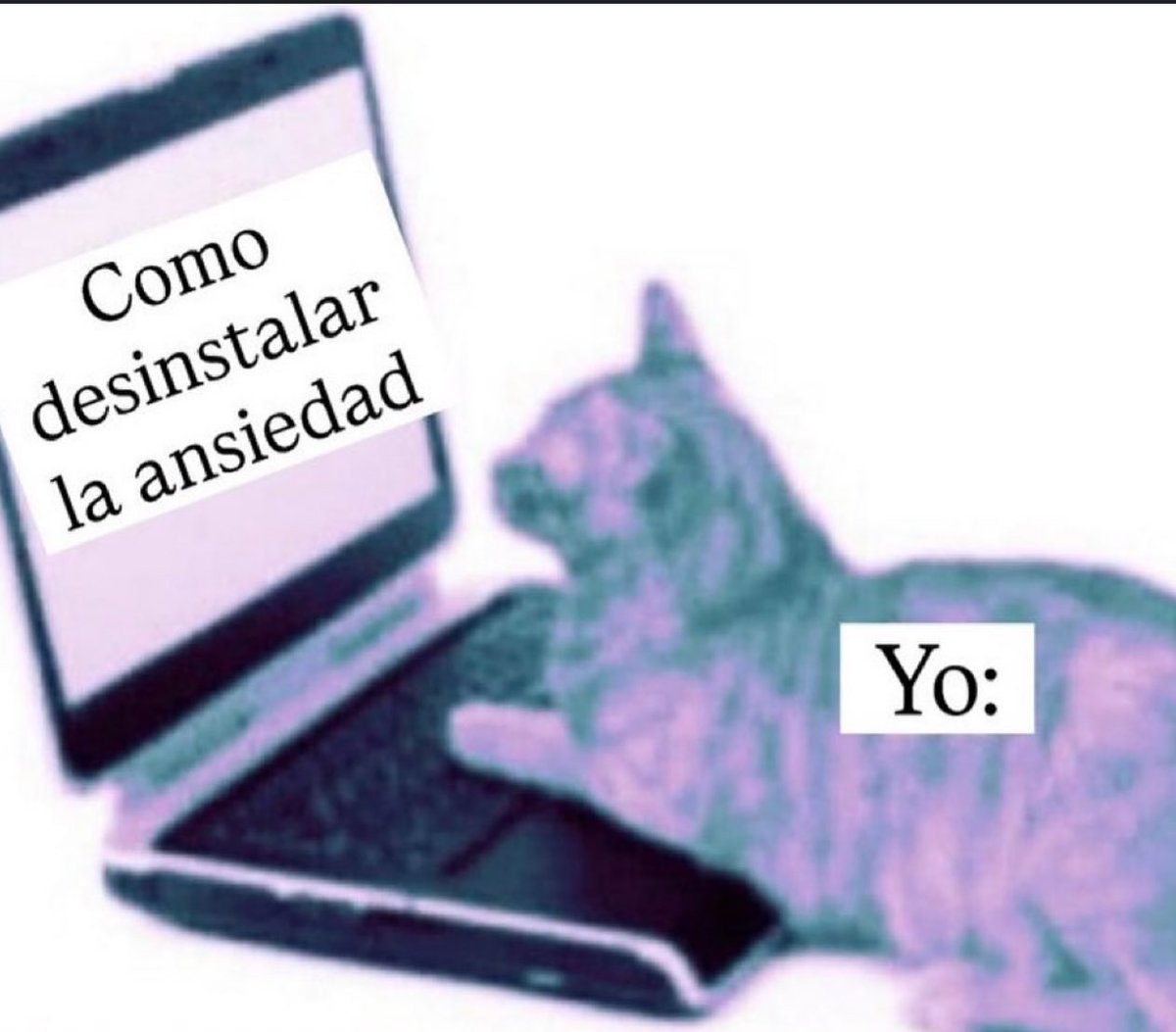 piña sin pizza (@skereunpesado) on Twitter photo 