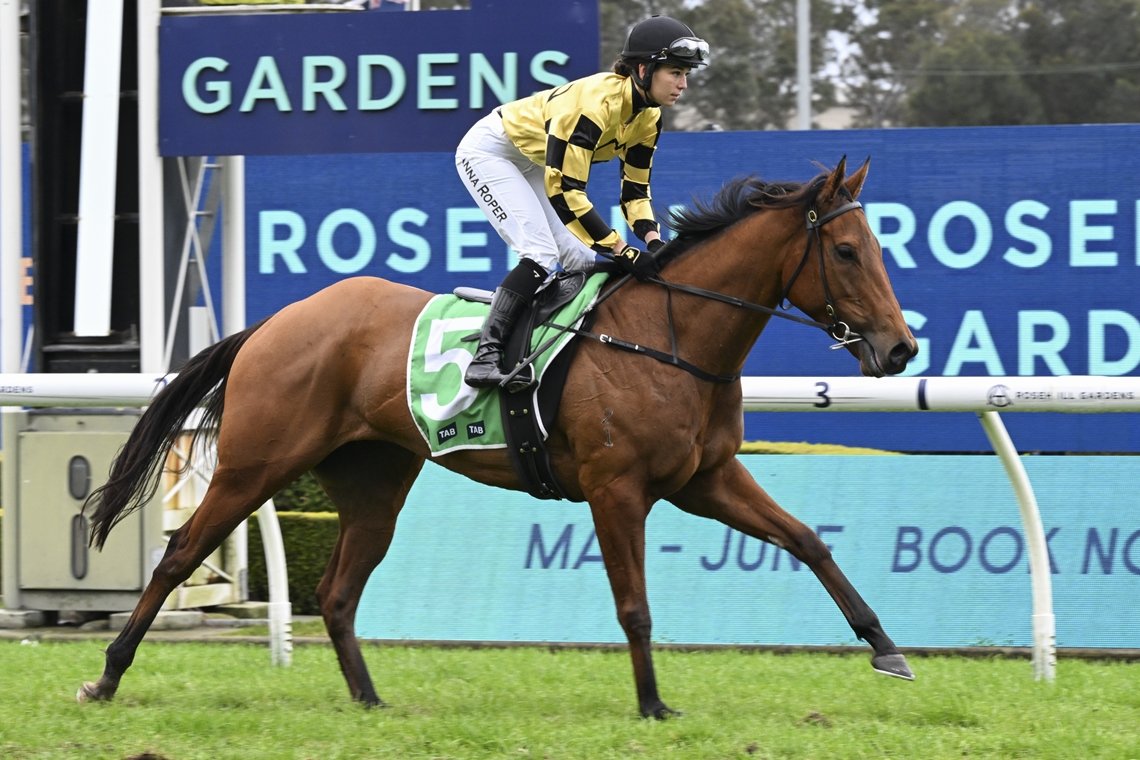 “She’s very calm and relaxed for a horse that hasn’t had many starts."

Anna Roper would love to ride Without Parallel in #TheKosciuszko but she says her job is to keep the mare's unbeaten record intact at Rosehill on Saturday. 📸 <a href="/Bradley_Photos/">Bradley Photos</a> 

STORY: tinyurl.com/3becahsm