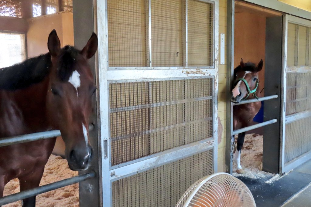 今朝のおぱんちとアルしゃん✨
ふたりとも、北海道おつかれさま！