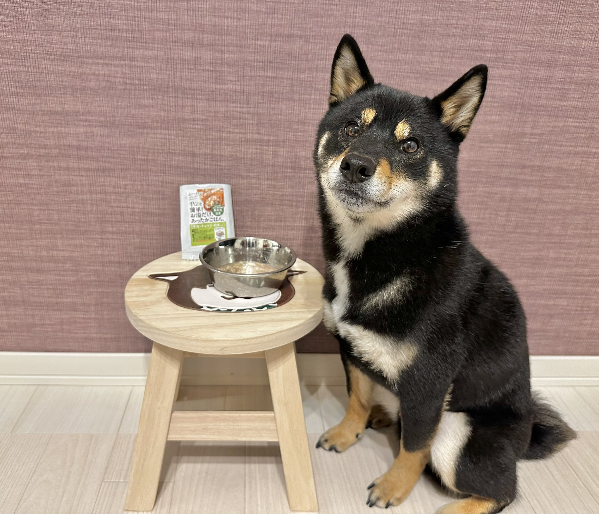 くったり柴犬  VMCコンプリート くったり柴犬 VMC コンプリート ≪11月の新商品≫くったり柴犬☆