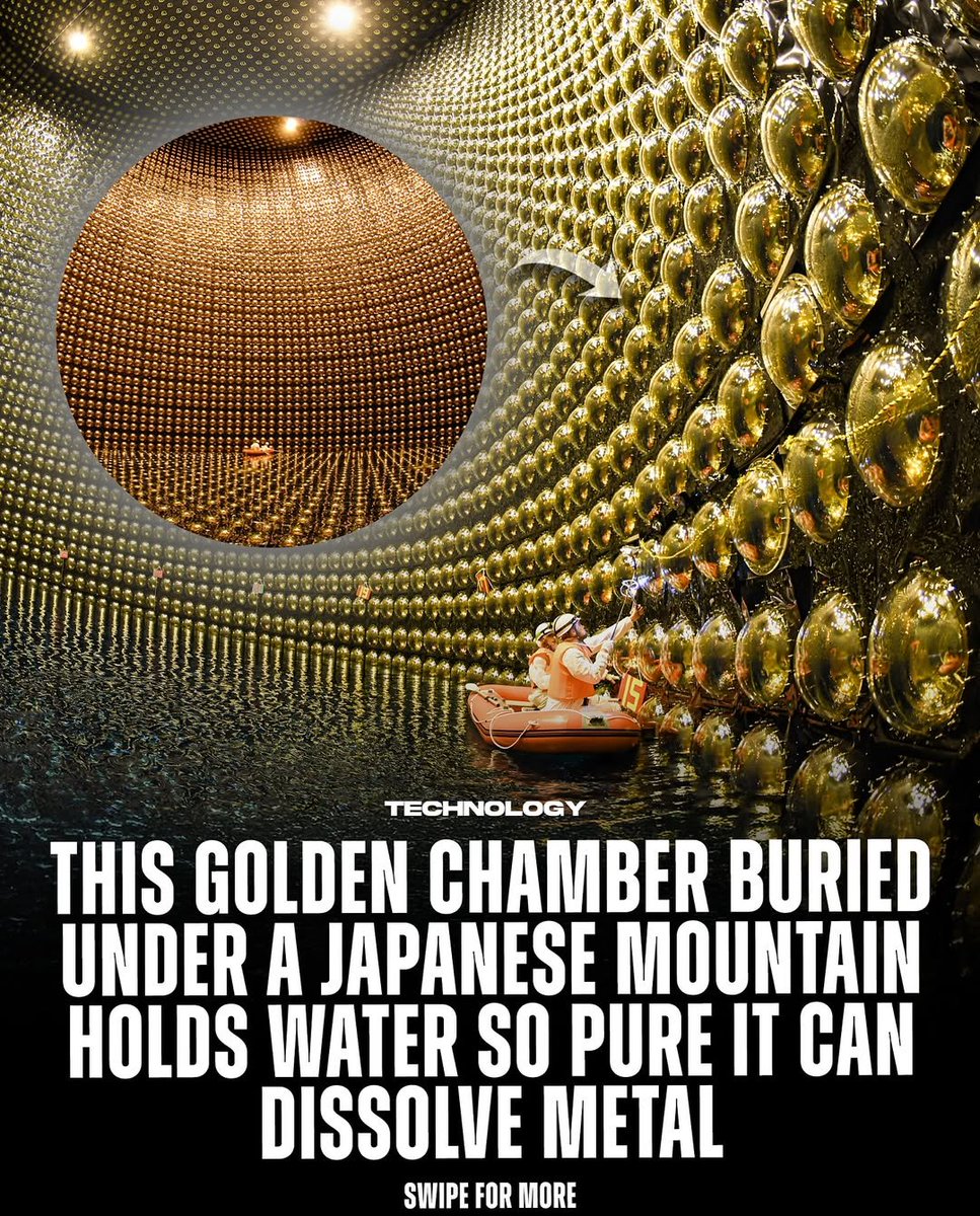 The World R🅰️nking (@worldranking_) on Twitter photo 