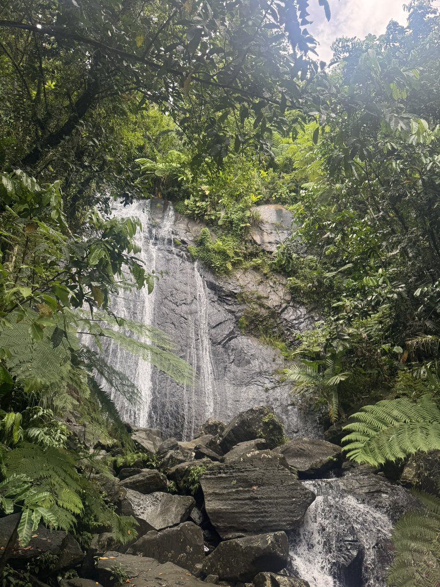 14sixteen22's tweet photo. money can't buy happiness but it can buy going to the rainforest to play in a waterfall with ur friends!! https://t.co/FSqWCEXt6g