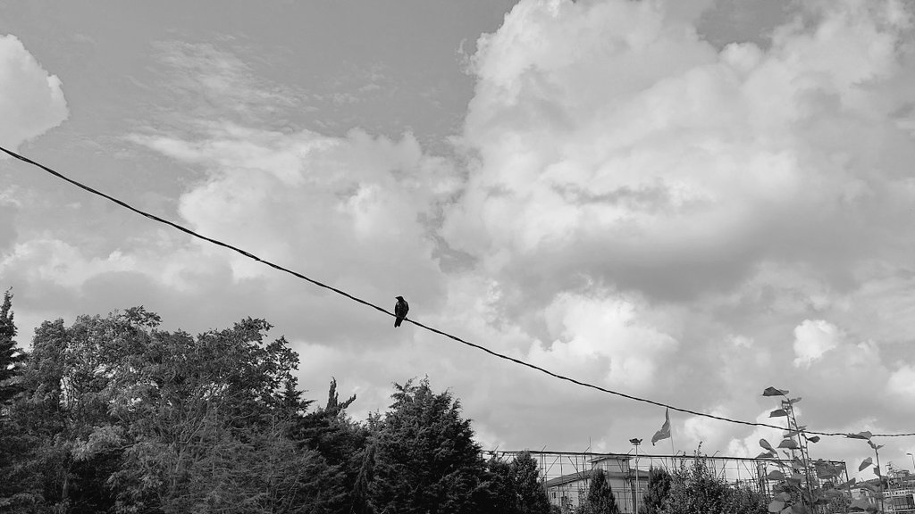 Bir şarkı dinledim, sitem etme haberi yok dağların diyordu.