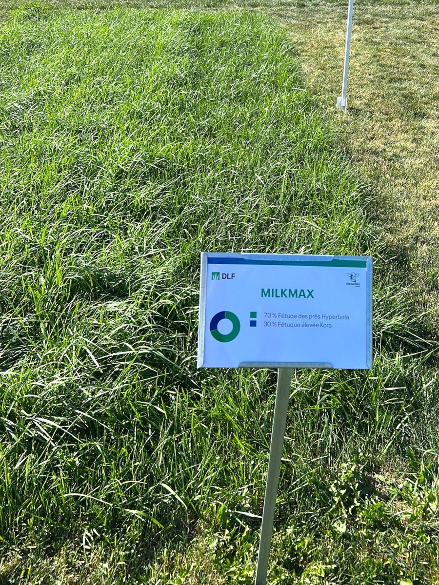À #ExpoChamps : FM 195 DT + MilkMax se démarque. Digestibilité élevée. Excellent rendement. Conçu pour les systèmes à 4 coupes. Découvrez pourquoi ce mélange ForageMax offre nutrition et performance sans compromis. #DLFFourrages #InnovationLuzerne #ForageMax