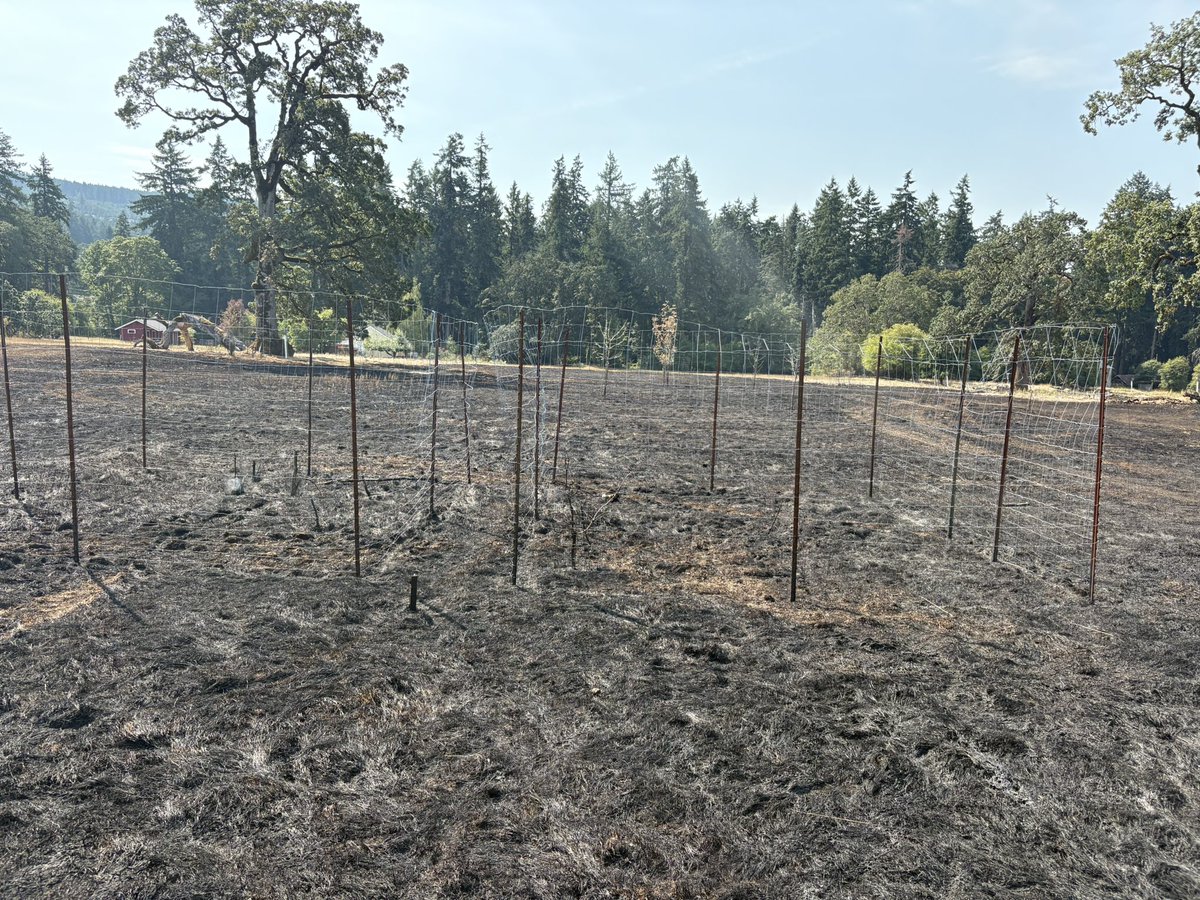 Andrew MacDougall (@amacd_uguelph) on Twitter photo My grassland study site of 25 years went up in flames today. There’s been a major heat wave in British Columbia and there was a spark from a Hydro pole. <a href="/IntUGrativeBiol/">Integrative Biology</a> My grassland study site of 25 years went up in flames today. There’s been a major heat wave in British Columbia and there was a spark from a Hydro pole. <a href="/IntUGrativeBiol/">Integrative Biology</a>