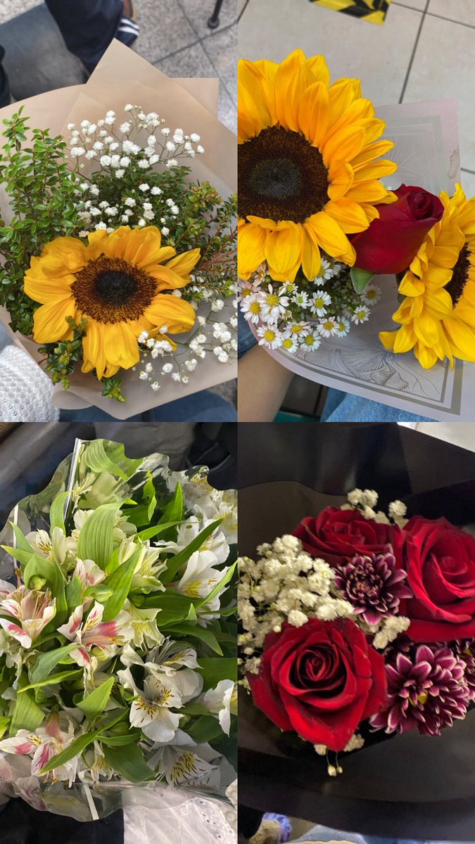 sofi ʚїɞ tweet media