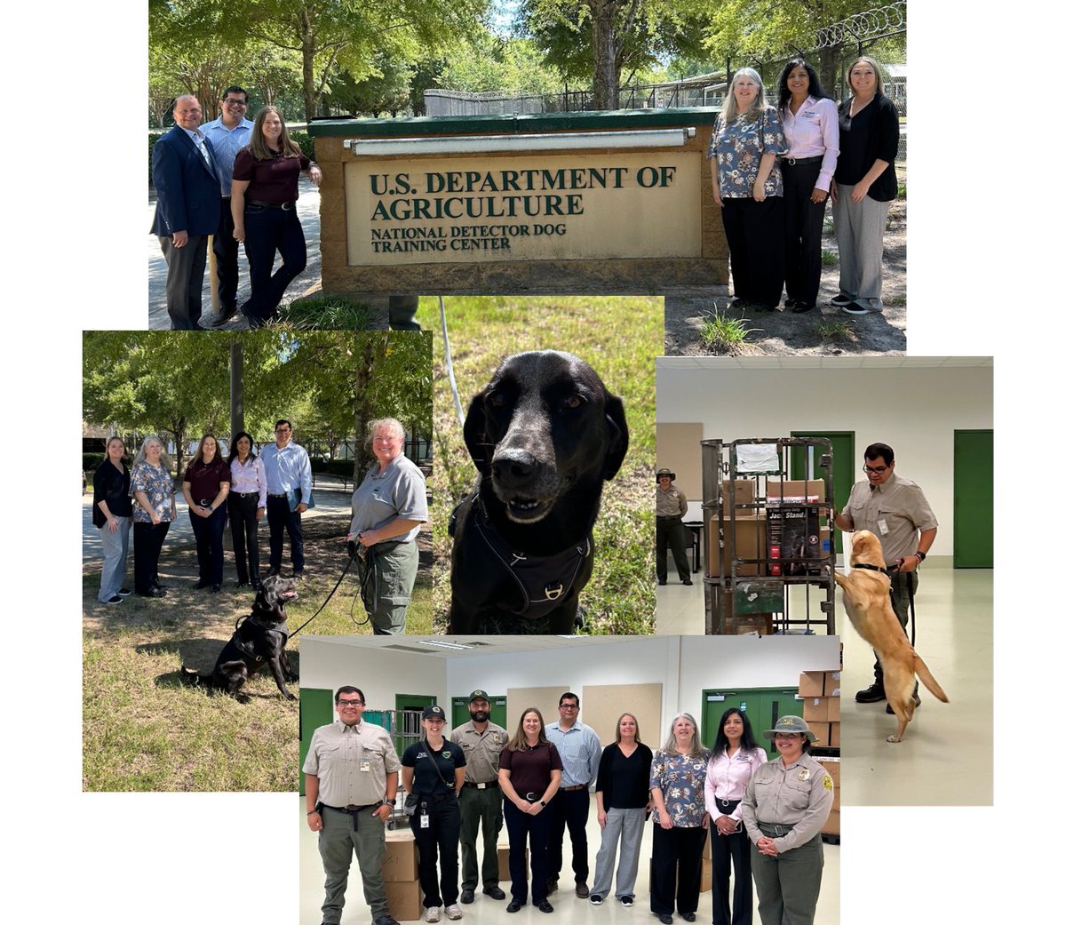 Cansler Consulting tweet media