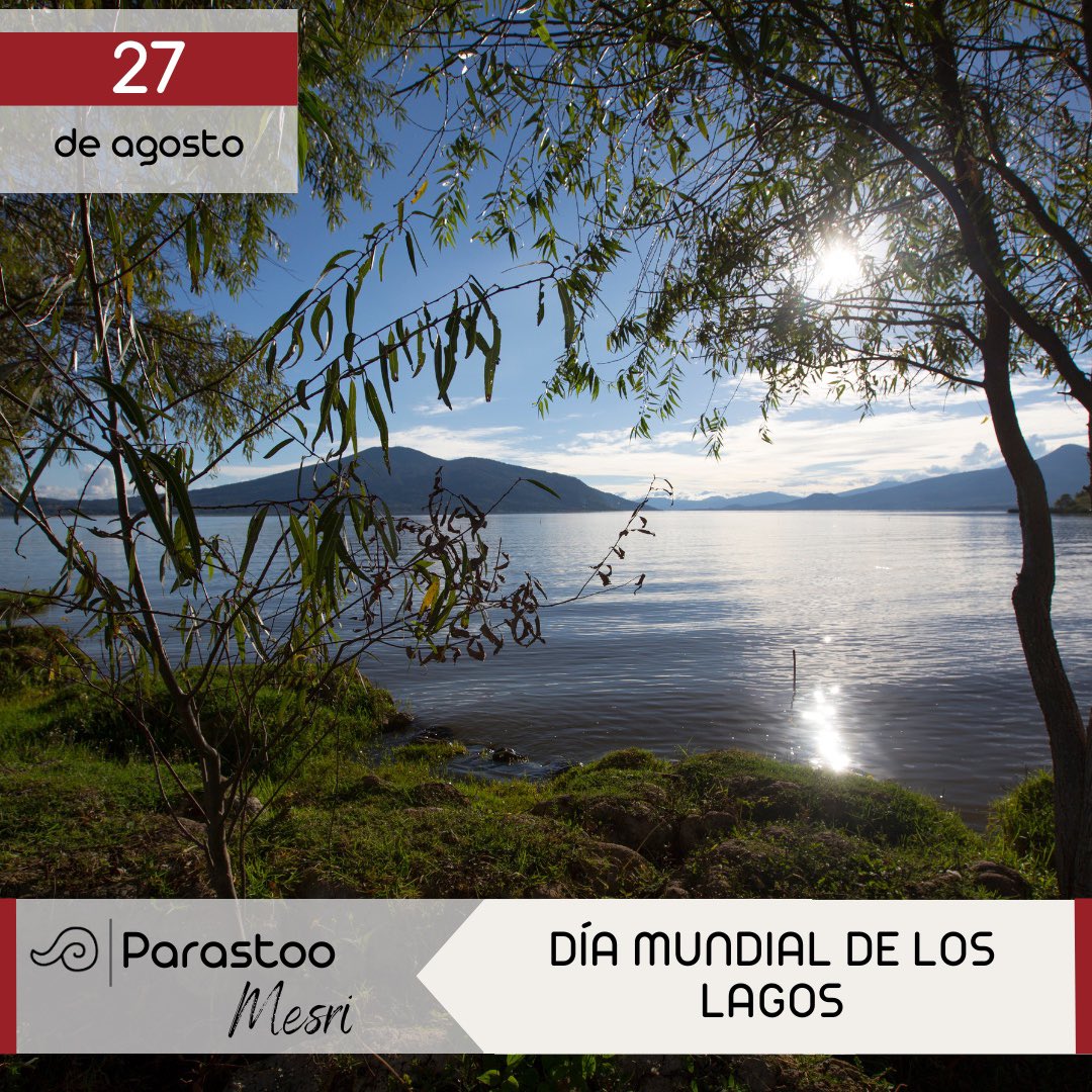Dra. Parastoo Mesri (@parastoo_mesri) on Twitter photo Los lagos proporcionan el 90 % del agua dulce superficial del mundo. Es urgente:
1️⃣Gestión integrada de los recursos hídricos.
2️⃣Un enfoque a nivel de cuenca para la gestión del agua y el control de la contaminación.
3️⃣El monitoreo de datos recopilados sobre los lagos. <a href="/UNEP/">UN Environment Programme</a> Los lagos proporcionan el 90 % del agua dulce superficial del mundo. Es urgente:
1️⃣Gestión integrada de los recursos hídricos.
2️⃣Un enfoque a nivel de cuenca para la gestión del agua y el control de la contaminación.
3️⃣El monitoreo de datos recopilados sobre los lagos. <a href="/UNEP/">UN Environment Programme</a>