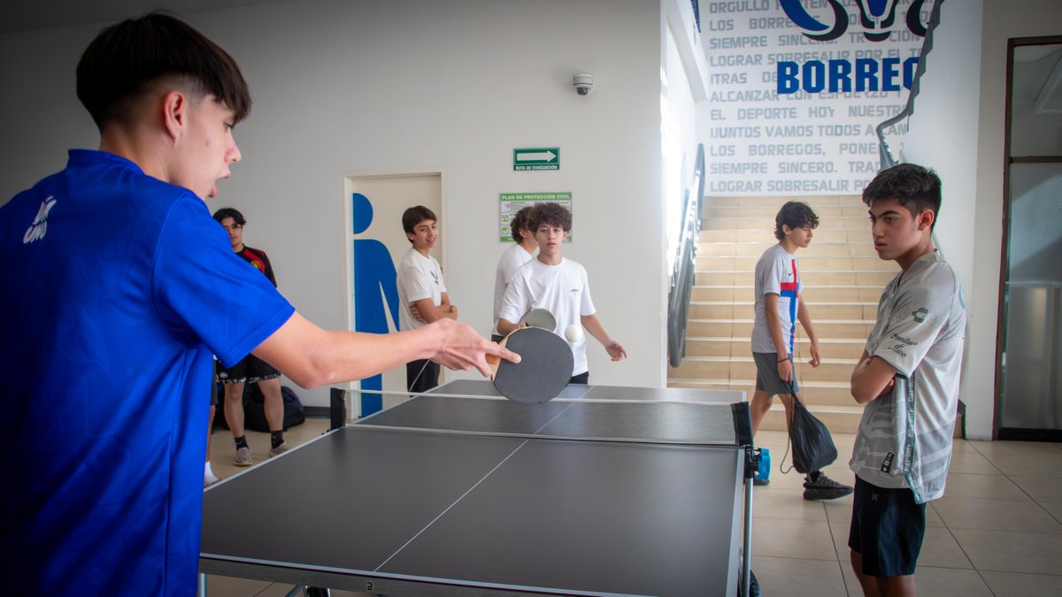TECcampusSAL's tweet image. 🏓✨ En el Tec Campus Saltillo también vibramos con la emoción del tenis de mesa.
Nuestro torneo de ping pong reunió talento, energía y mucha pasión en la mesa. 💪🔥

#OrgulloBorrego #VidaEnElCampus
