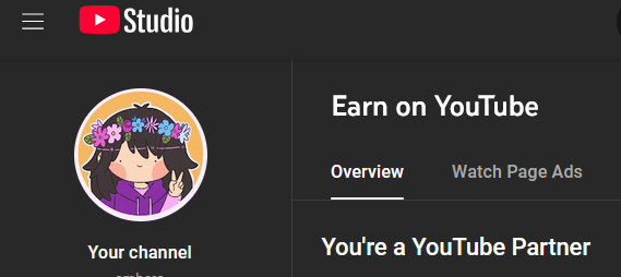 Amber 🍉 tweet media