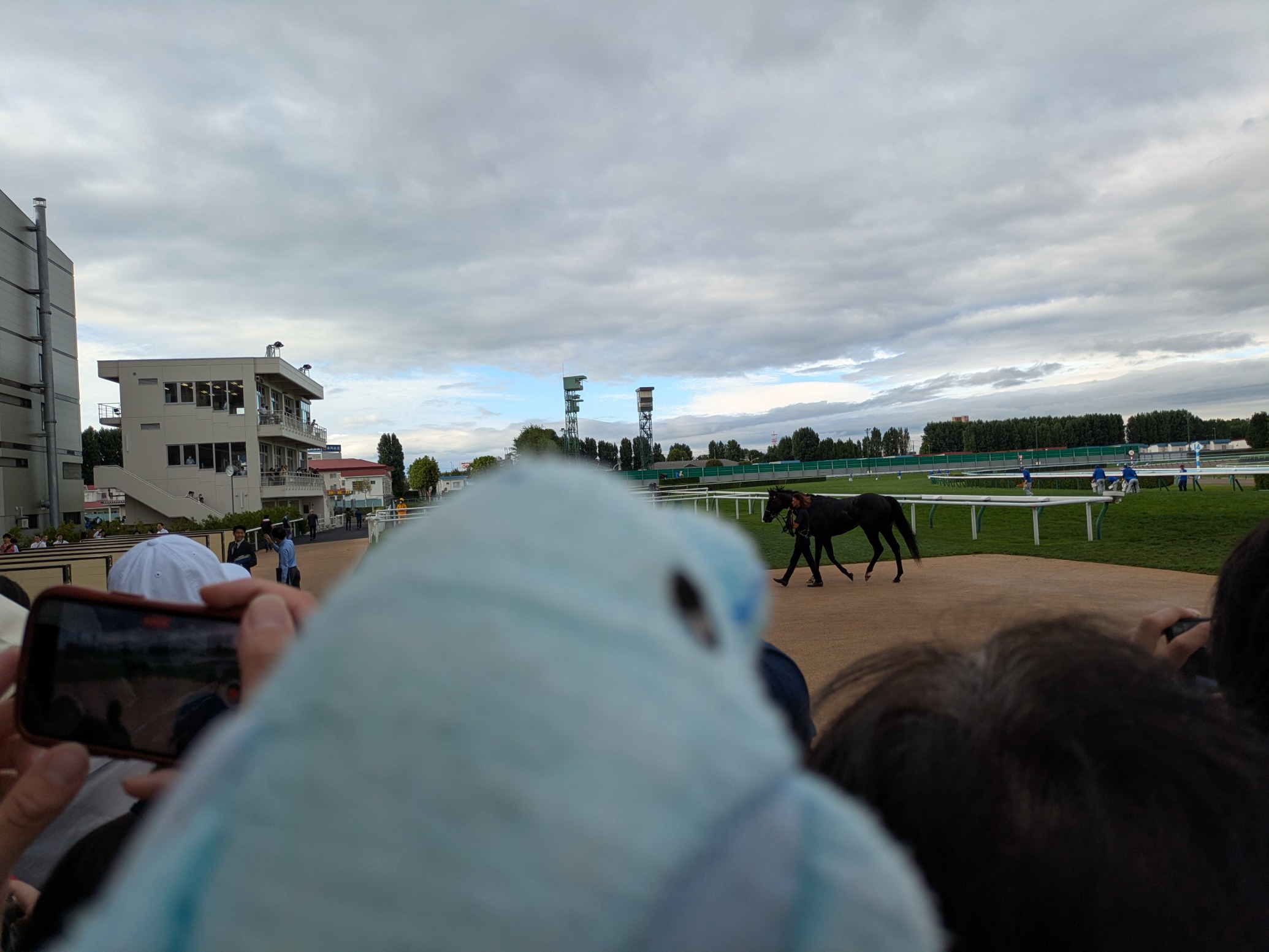 競馬パネル：ホクトベガ「1994年第30回札幌記念」 ※プレート付き Amazon.co.jp: ワールドスタージョッキーズ 第1戦 ミニレプリカ
