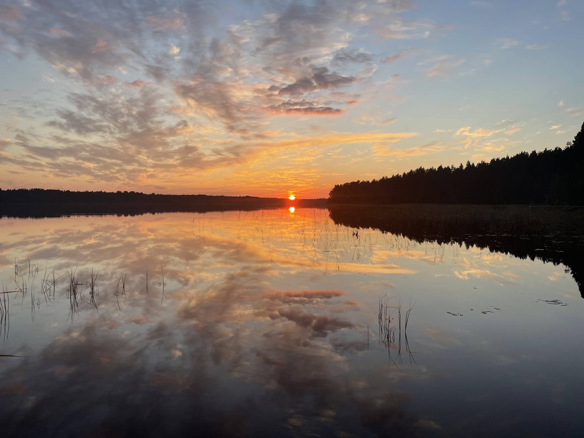 AuroraUnrealis's tweet image. 