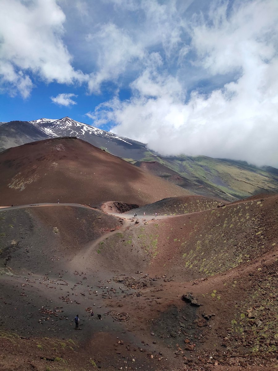 AuroraUnrealis's tweet image. 