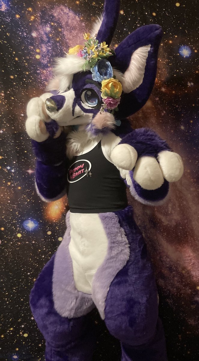 secfurry's tweet image. Dam I missed #nationaldogday yesterday! 😅 

In my opinion, every day is National Dog Day 😆 💜 😘 

#furry #furries #fursuit