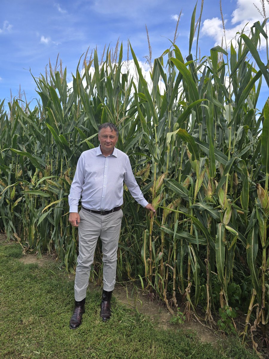 kocsybela's tweet image. Brocksmith Farm - Indiana 
#purdue #purdueboilermakers Indiana Farm Bureau