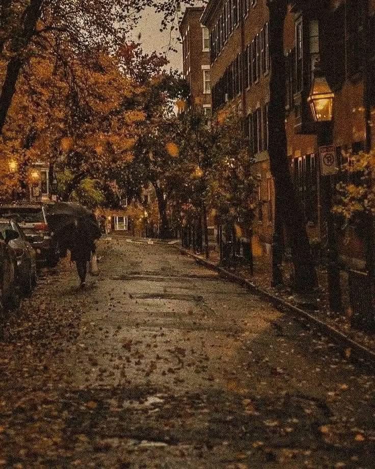 ما زال يُزهر في أعماقنا الأمل …..