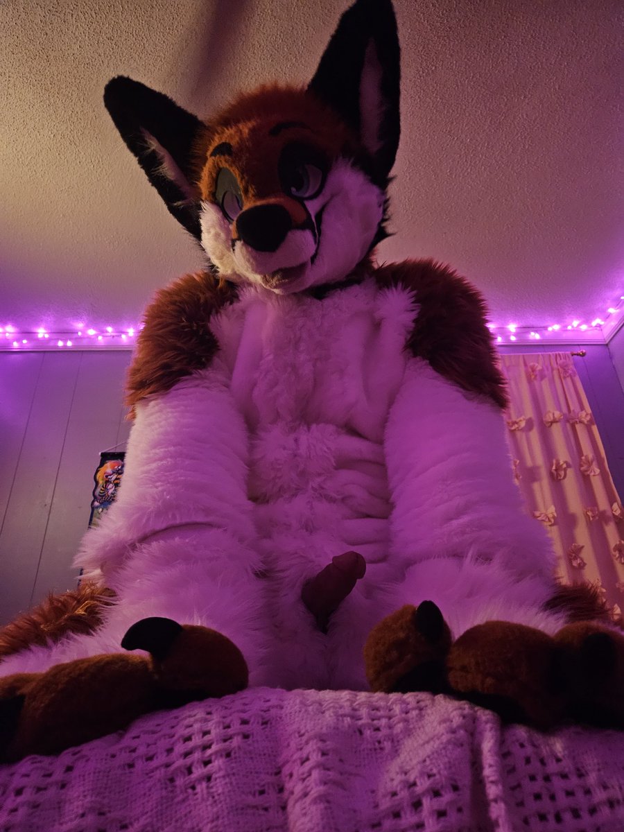 Natethefoxad tweet media