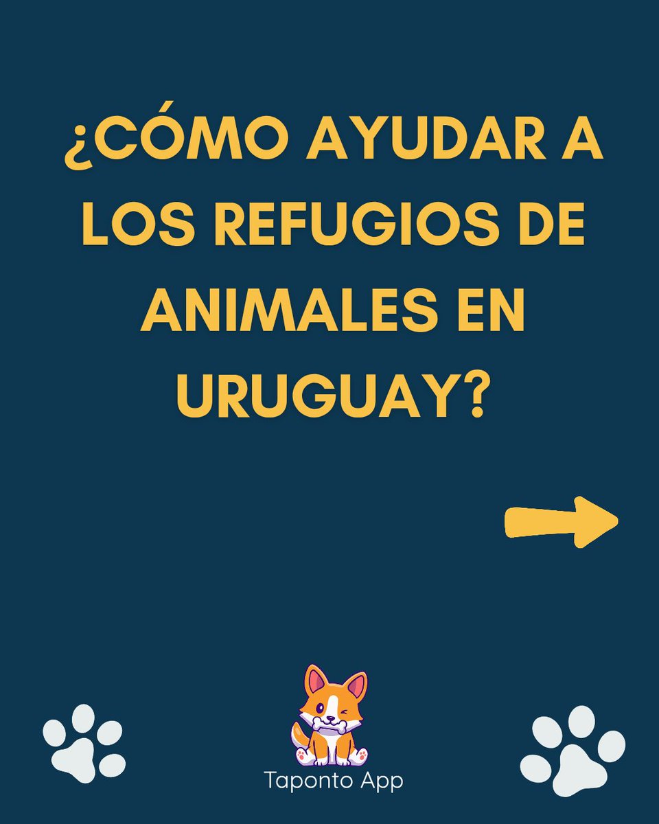 Taponto App tweet media