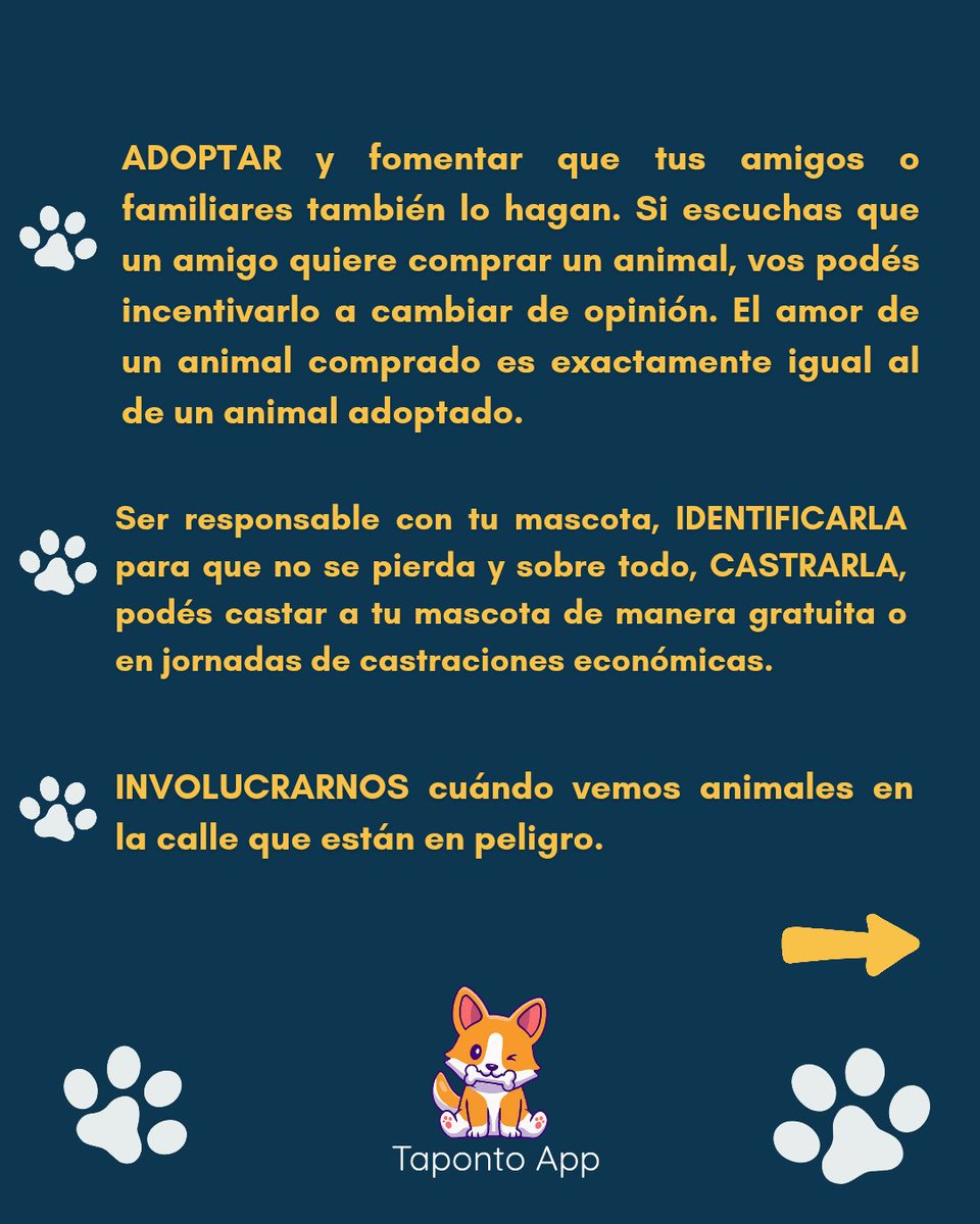 Taponto App tweet media