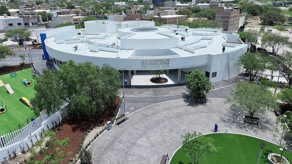 salvatierrahoy's tweet photo. @DerechaDiarioMX Para  certificar en terreno neutral que @fernandeznorona tiene lesiones que dice le hizo @alitomorenoc puede venir a León Gto, que tiene un hospital de lo mejor del pais...para mascotas. https://t.co/TvaCtXHGL4
