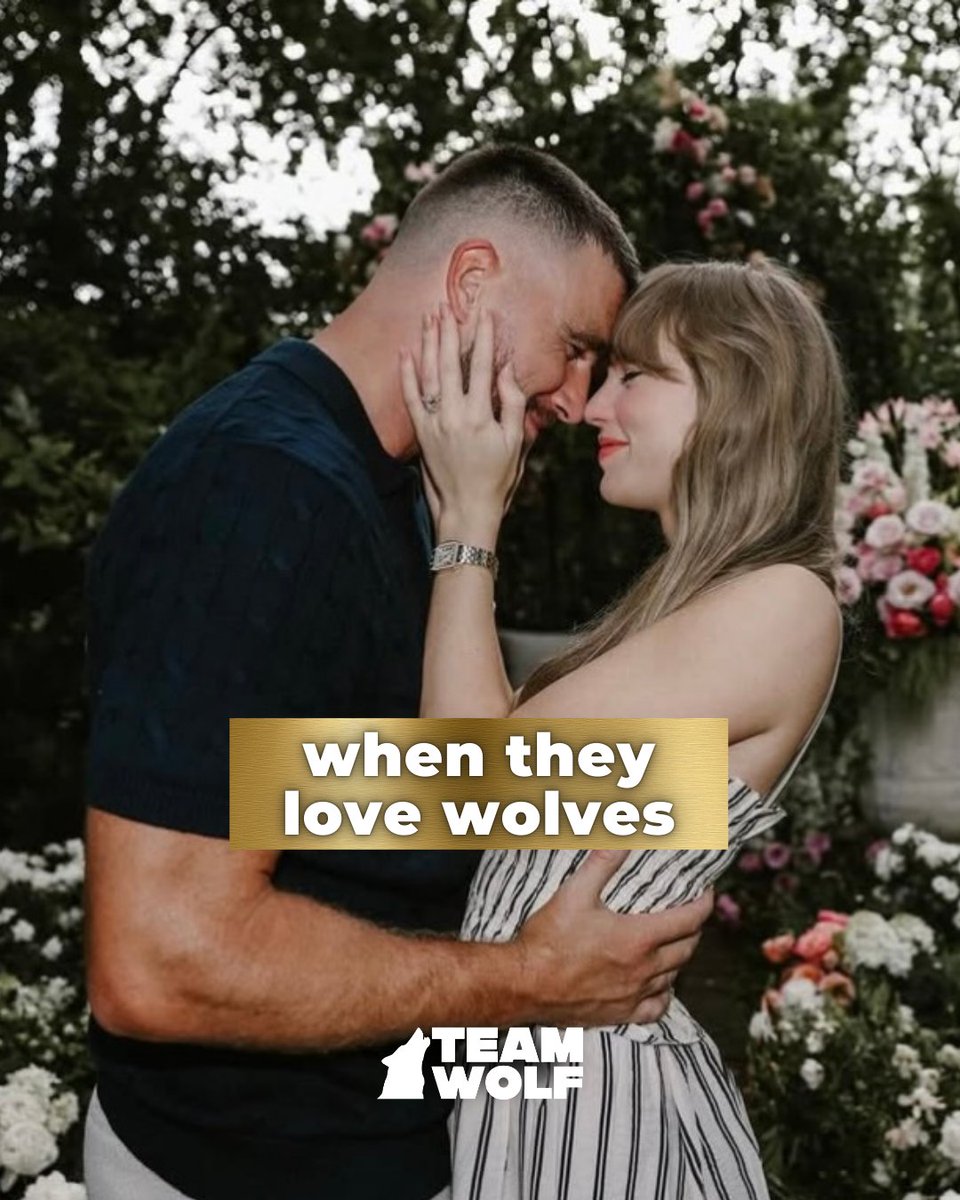 teamwolf_org's tweet image. We couldn’t wait for meme Monday. We know @‌taylorswift is more of a cat lady but @‌killatrav def gives dog energy. Congratulations to the happy couple—now let’s #RelistWolves! (1/4)