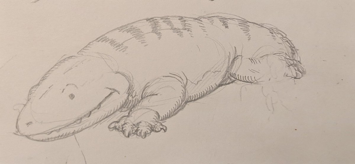 Icthyostega in my notebook